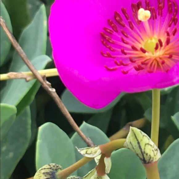 Meet your Posher, Claudia - Picture 5 of 5